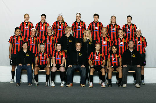 Innebandy, lagbild, dam, Högdalen