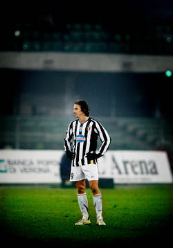 Zlatan Ibrahimovic, Juventus