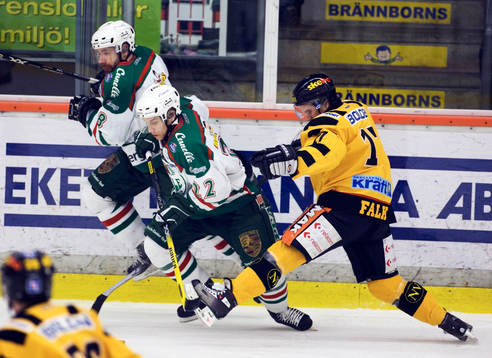 Patrik Tano och Mattias Carlsson, Rögle och Andreas Falk,