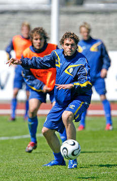 Johan Elmander