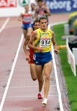 Henrik Skoog, Sverige