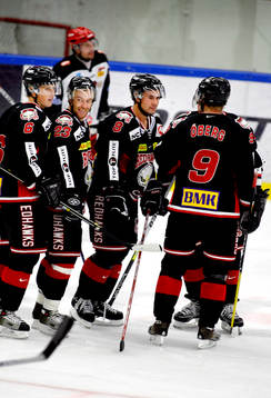 Marcus Paulsson, Mikael Wahlberg, Ross Lupaschuk, Jan