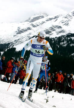 David Flinkfelt, Sverige