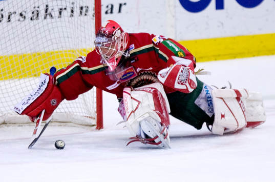 Tommy Salo, Målvakt