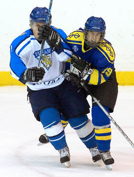 Daniel Littorin, Sverige