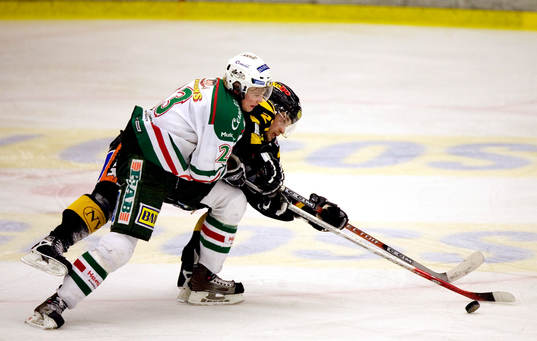 Daniel Åhsberg, Rögle