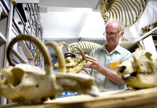 En skotsk professor vi namn Alister McDonald forskar om de