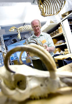 En skotsk professor vi namn Alister McDonald forskar om de