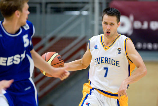 Mats Levin, Sverige