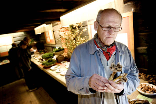Magnus Neudendorf