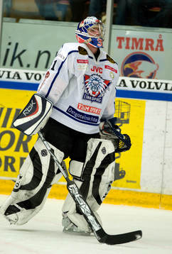 Rastislav Stana, Målvakt