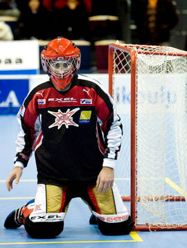 Sport, innebandy, Sverige - Finland, Finnkampen, Landslag,