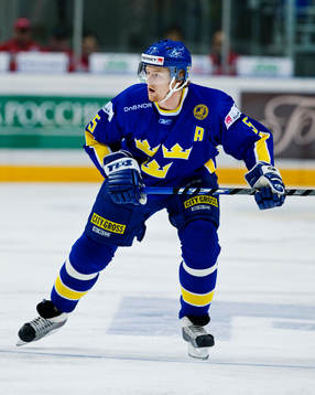 Daniel Fernholm, Sverige