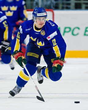 Karl Fabricius, Sverige