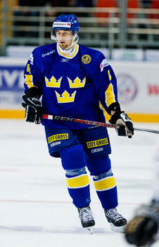 Tomas Skogs, Sverige