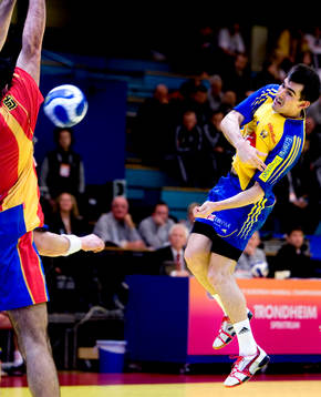 Dalibor Doder, Sverige