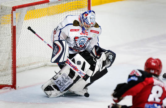 Rastislav Stana, målvakt, Linköping, tar emot ett skott