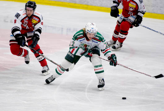 Tommy Enström, Rögle och Jan Öberg, Malmö