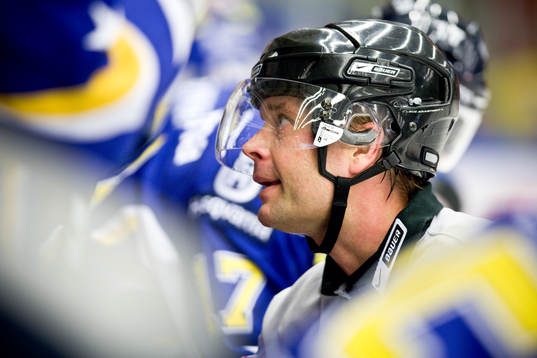 Patrik Sjöberg, Domare
