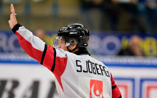 Patrik Sjöberg, Domare