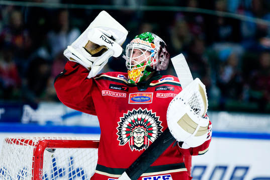 Johan Holmqvist, målvakt