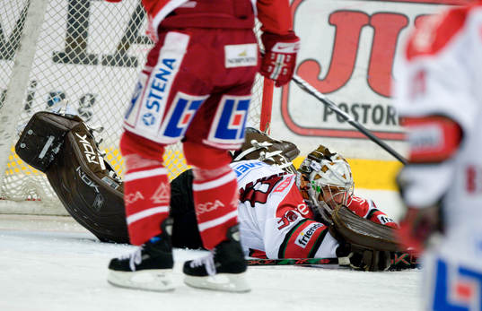 Michal Zajkowski, Målvakt Modo