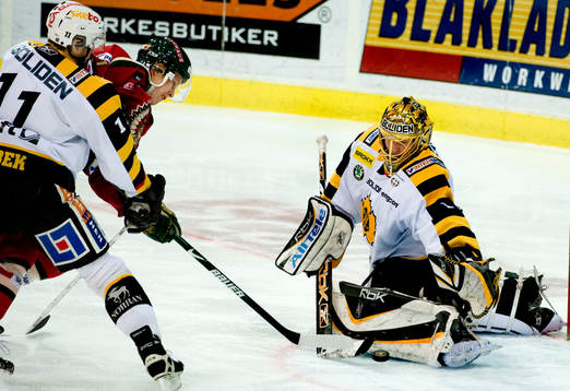 Lars Eller, Frölunda, Pavel Skrbek, Andreas Hadelöv,