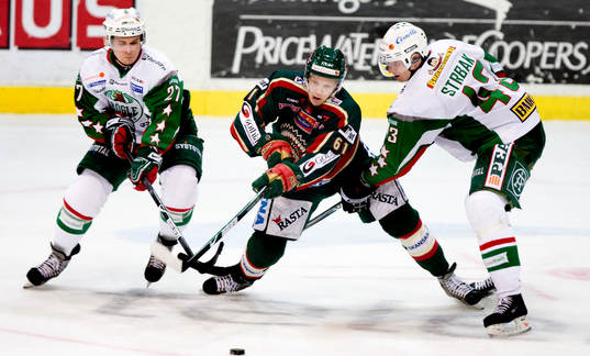 Johannes Salmonsson, Martin Strabak, Rögle, Lars Eller,