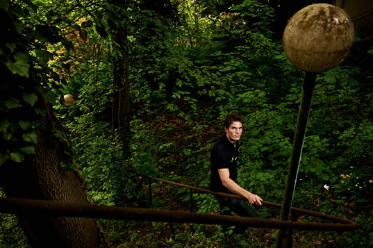 Loui Eriksson, Sverige