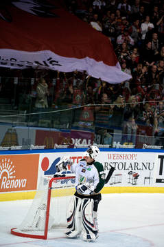 Andro Michel, målvakt Färjestad