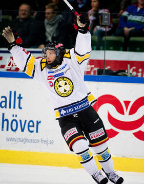 Eero Somervuori, Brynäs, jubel