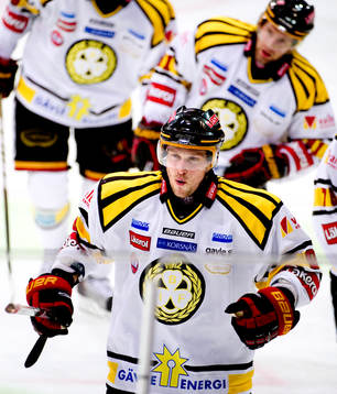 Eero Somervuori, Brynäs jubel