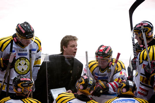 Niklas Czarnecki, tränare Brynäs