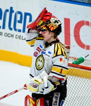 Niklas Svedberg, målvakt, Brynäs