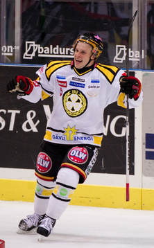 Eero Somervuori, Brynäs