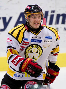Eero Somervuori, Brynäs