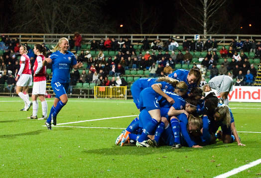 Glädje, jubel, bunke, hög, Linköping.
