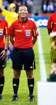 Jenny Palmqvist, domare, Sverige