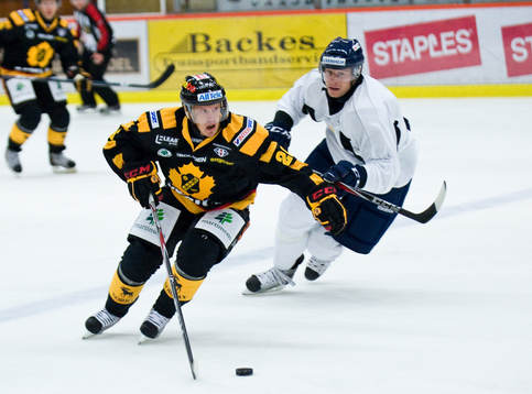 Anders Söderberg, Skellefteå