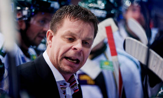 Niklas Czarnecki, tränare