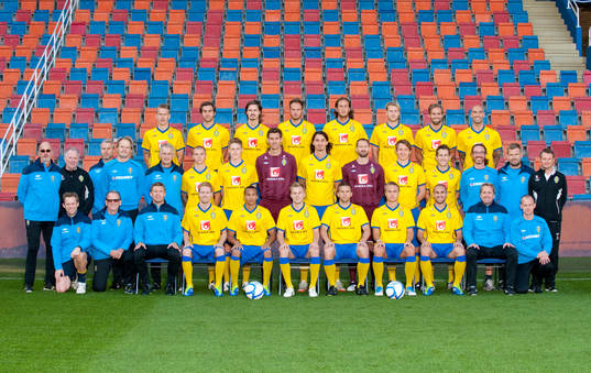 Bakre raden fr.v. Pontus Wernbloom, Johan Elmander, Mikael