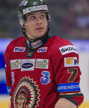 Henrik Tömmernes