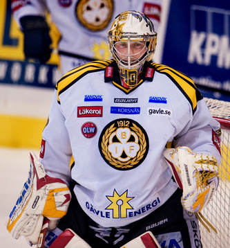 Johan Holmqvist, målvakt