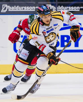 Daniel Widing, Brynäs