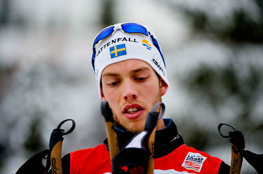 Marcus Hellner, Sverige