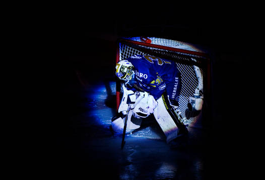 Viktor Fasth, målvakt, AIK