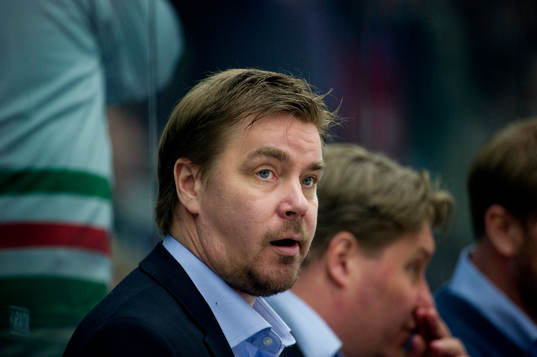 Tommy Salo, Sportchef Leksand