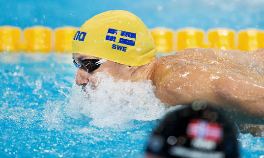 Lars Frölander, Sverige