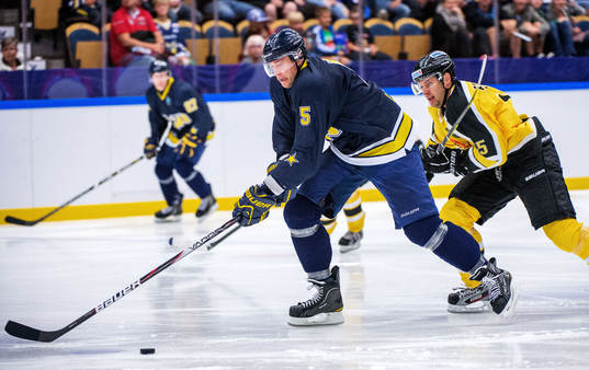Mikko Luoma, HV71, Francois Fortier, Vienna Capitals