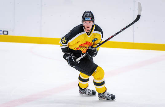 Marcus Olsson, Vienna Capitals